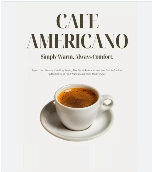 핫아메리카노(Large)